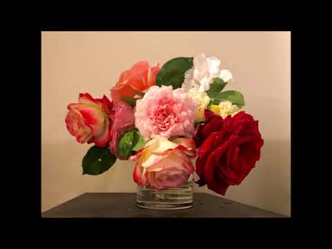 გილოცავ დაბადების დღეს!