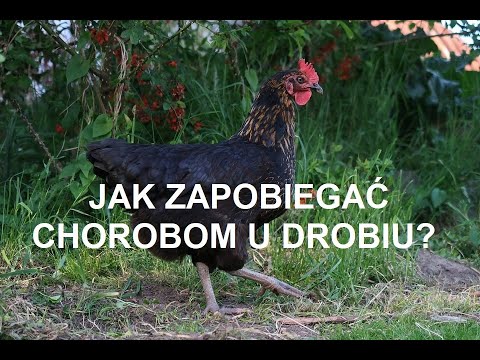 Wideo: Jak Zapobiegać Wyskakującym Okienkom