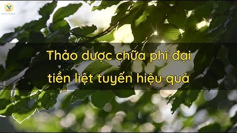 Thảo dược chữa phì đại tiền liệt tuyến: Thần dược cho nam giới