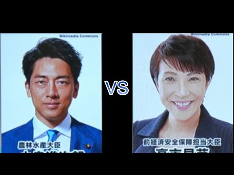 【高市銘柄　VS　小泉銘柄】株価と景気の行方を徹底解説　　　　　　　小泉が首相になると農協解体か / ジクマネ