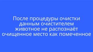Чем удалить метки кота и следы мочи за 5 минут Чем удалить метки кота и следы мочи за 5 минут
