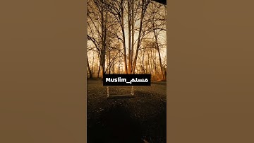 التلاوه التي أبهرت المستمعين _محمد محمود الطبلاوي ✅