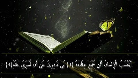 سورة القيامة للقارئ محمد سمير