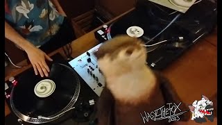 DJ CRYSTAL ft  Da FoXX   THE TECHNO DEN VOL 1