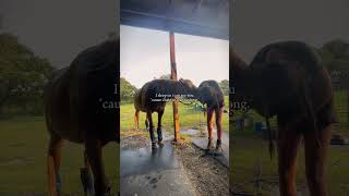 Hate To Wait So Long.