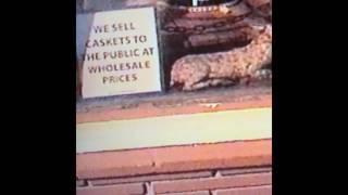 Greaf - Before It Went Dry