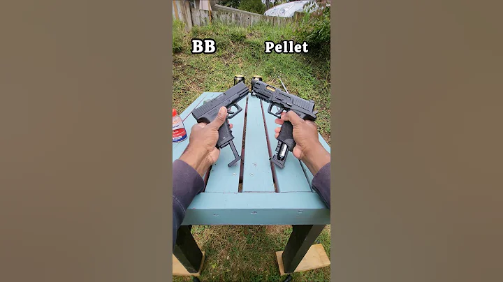 BB Gun vs Pellet Gun 🔥 Which Hits Harder?