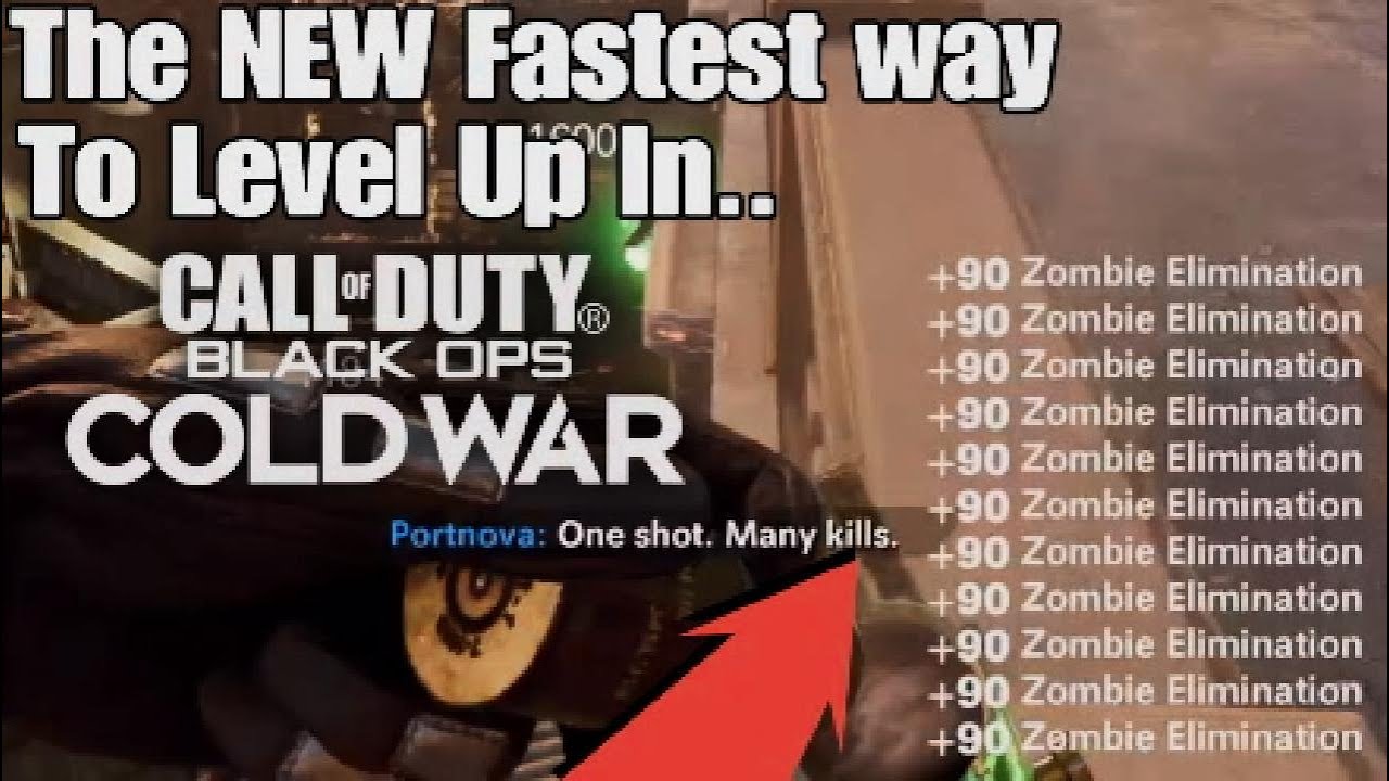 The NEW Fastest way to Level Up In Cold War