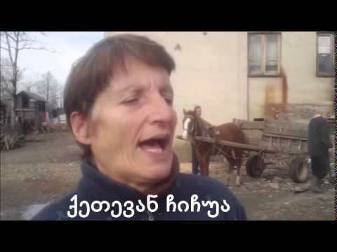 \"ახალგაზრდა რეპორტიორი\" – საერთო საცხოვრებლის გადახურვა ქვენობანში