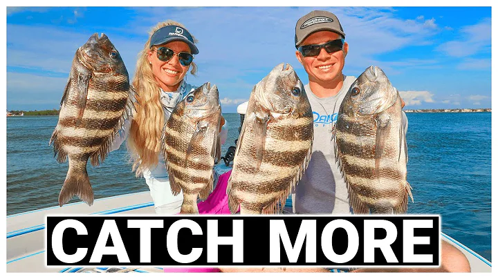How To Catch Sheepshead - Inshore Fishing Tips And Tricks