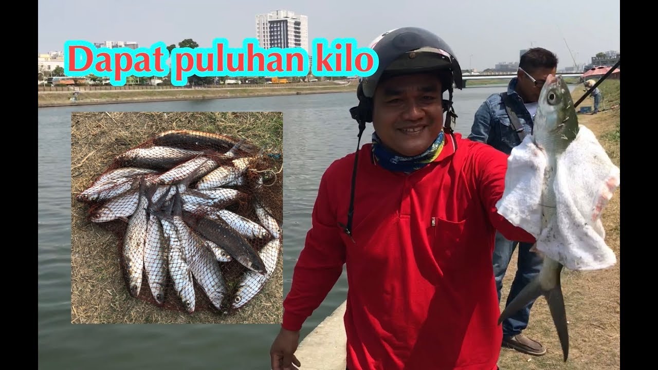 Mancing ikan bandeng liar denggan umpan kabel part 2