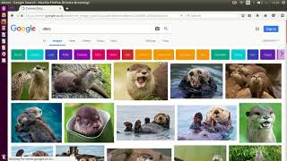 Filtering Image Search Based on Rights