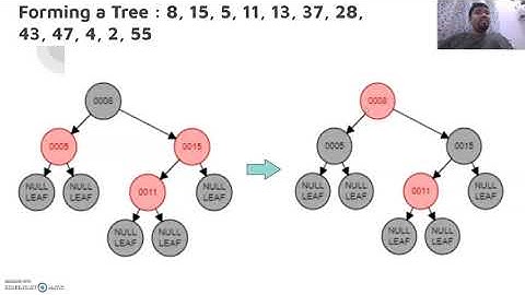 RED BLACK TREE INSERTION