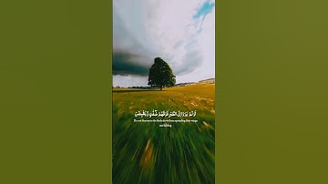 تلاوه جميـ♡♡ـله ل🎧☘️❣️ القارئ عبد الرحمن مسعد.... #راحه_نفسيه #قران_كريم#قرآن #quran_alkarim #مختصر