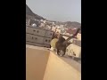 قط سقط من عماره ولا صار له شي 