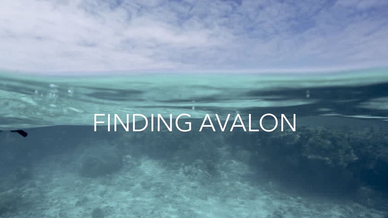 Finding Avalon Live Stream