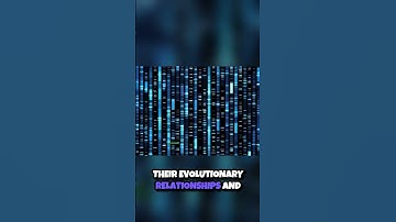 Unlocking the Secrets of Life  Sequence Alignment in Bioinformatics 🔬