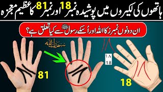 The Secret Numerical Miracles Of Allah On Palm of Hands Will Shock You
