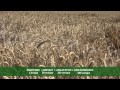 Cheminova 2015 рекламен спот Cheminova 2015 рекламен спот