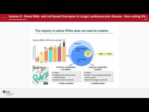 Non coding RNA targeting therapies