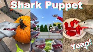 Best of SHARK PUPPET TikTok Compilation  Funny Shark Puppet TikToks of 2021