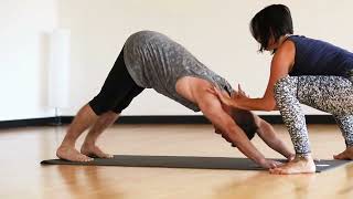 Modo Yoga - a place to feel completely free