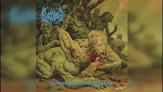 Download lagu Bloodbath - Born Infernal