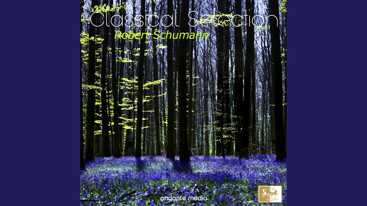 Symphony No. 1 in B Major, Op. 38: II. Larghetto