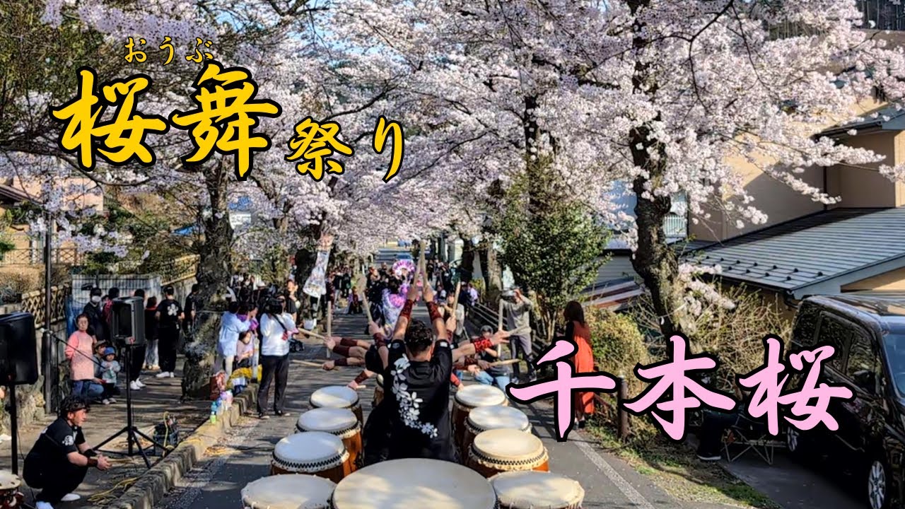 桜舞祭り2024〜千本桜〜