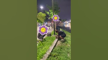 Câu Ba Tiêu tối vớ phải đàn rô phi