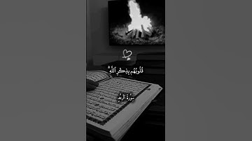 #أَلَا بِذِكۡرِ ٱللَّهِ تَطۡمَئِنُّ ٱلۡقُلُوبُ #قران_كريم #تلاوة_خاشعة #فارس_عباد