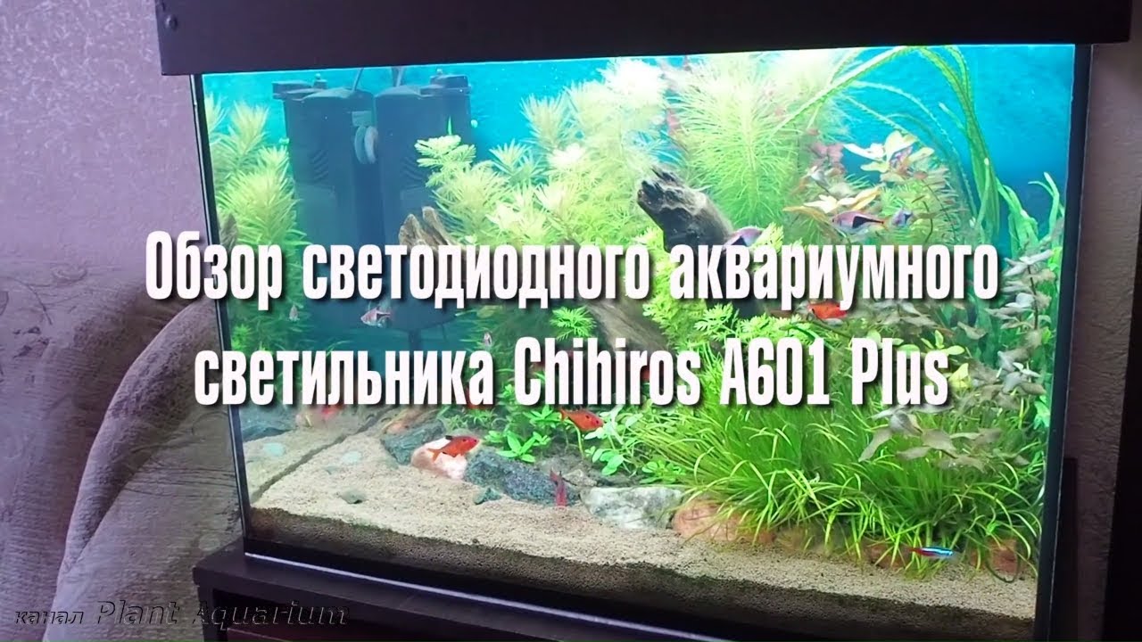 Обзор светодиодного светильника Chihiros A601 Plus - YouTube