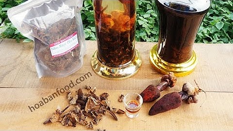 CÁCH NGÂM RƯỢU NẤM NGỌC CẨU