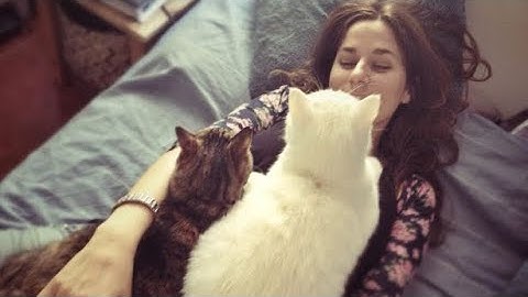This TikTok sound will make your cat cuddle you