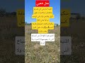 مثل يحذرك من صحبة الأوباش والأنذال مثل يحذرك من صحبة الأوباش والأنذال