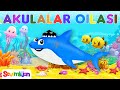 Akulalar oilasi  sevimlijon        bolalar qoshiqlari  kids 2023