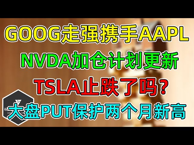 美股 GOOG走强携手AAPL，NVDA加仓计划更新！TSLA止跌了吗？大盘PUT保护创两个月新高！