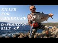 Killer For Amberjack CB ONE D3 Semilong Blue Shore Jigging Greece Killer For Amberjack CB ONE D3 Semilong Blue Shore Jigging Greece