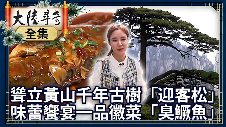 《完整版》耸立黄山千年古树“迎客松” 味蕾飨宴一品徽菜“臭鳜鱼”【@ctvchinatvEP1878】#文化C游记 #城市新象 - 天天要闻