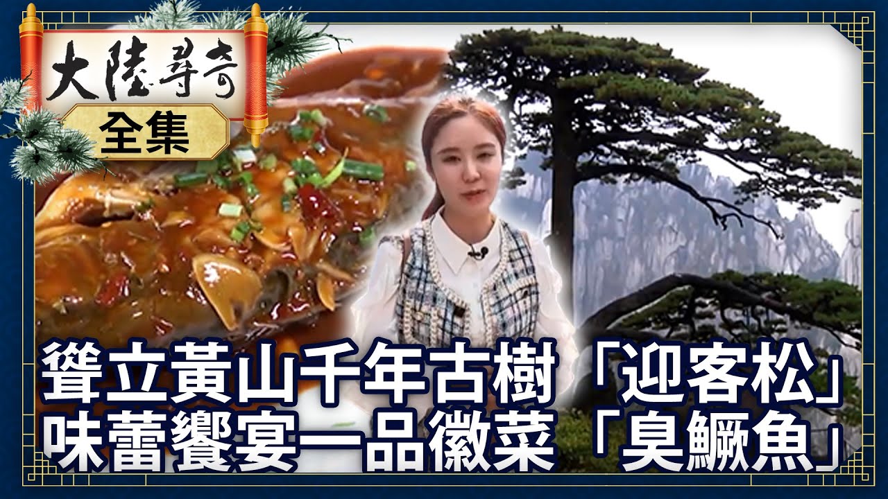 《完整版》聳立黃山千年古樹「迎客松」 味蕾饗宴一品徽菜「臭鱖魚」【