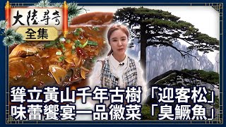 《完整版》聳立黃山千年古樹「迎客松」 味蕾饗宴一品徽菜「臭鱖魚」【@ctvchinatvEP1878】#文化C遊記 #城市新象