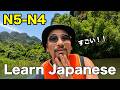 Easy Japanese in Vietnam 🇻🇳 | Trang An & Mua Cave (N5-N4 Listening)