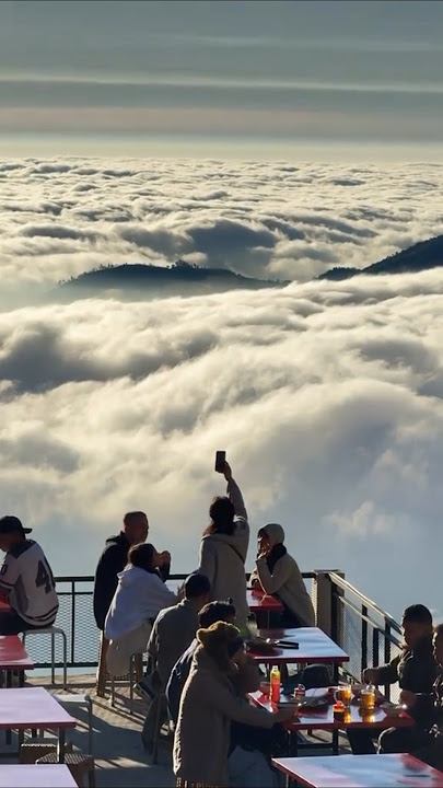 ini ada di Dieng Wisata Sikunir #dieng #wisataindonesia #sikunir