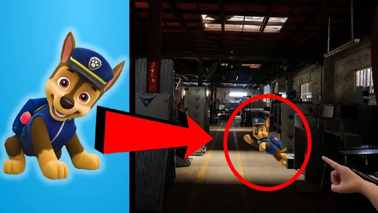 6 Personajes de PAW PATROL Captados en Cámara y Vistos en la Vida REAL YouTube 6 Personajes de PAW PATROL Captados en Cámara y Vistos en la Vida REAL YouTube