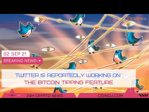 Twitter is reportedly working on the bitcoin | Latest News on 02 Sep 2021 | Crypto News