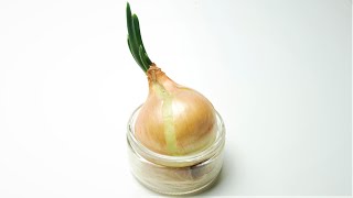 Onion timelapse (50 days)