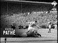 カップ決勝(1955年)