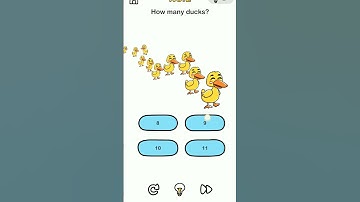 brain out level 2. how many ducks