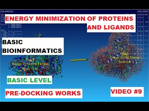 Energy Minimization of Proteins and Ligands Pre-Docking Works (#1)