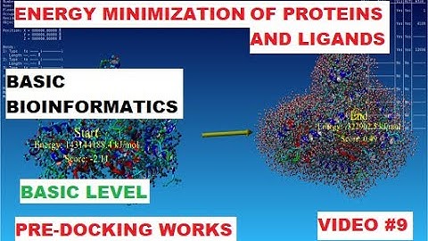 Energy Minimization of Proteins and Ligands Pre-Docking Works (#1)